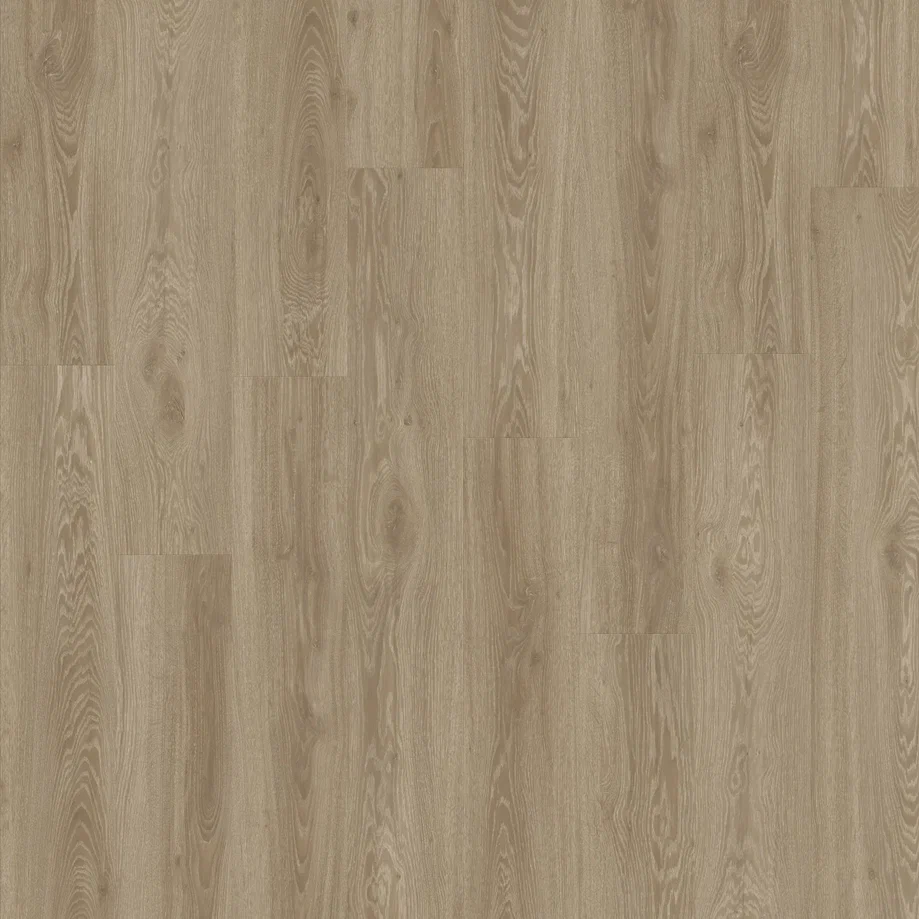 Vista Oak 450