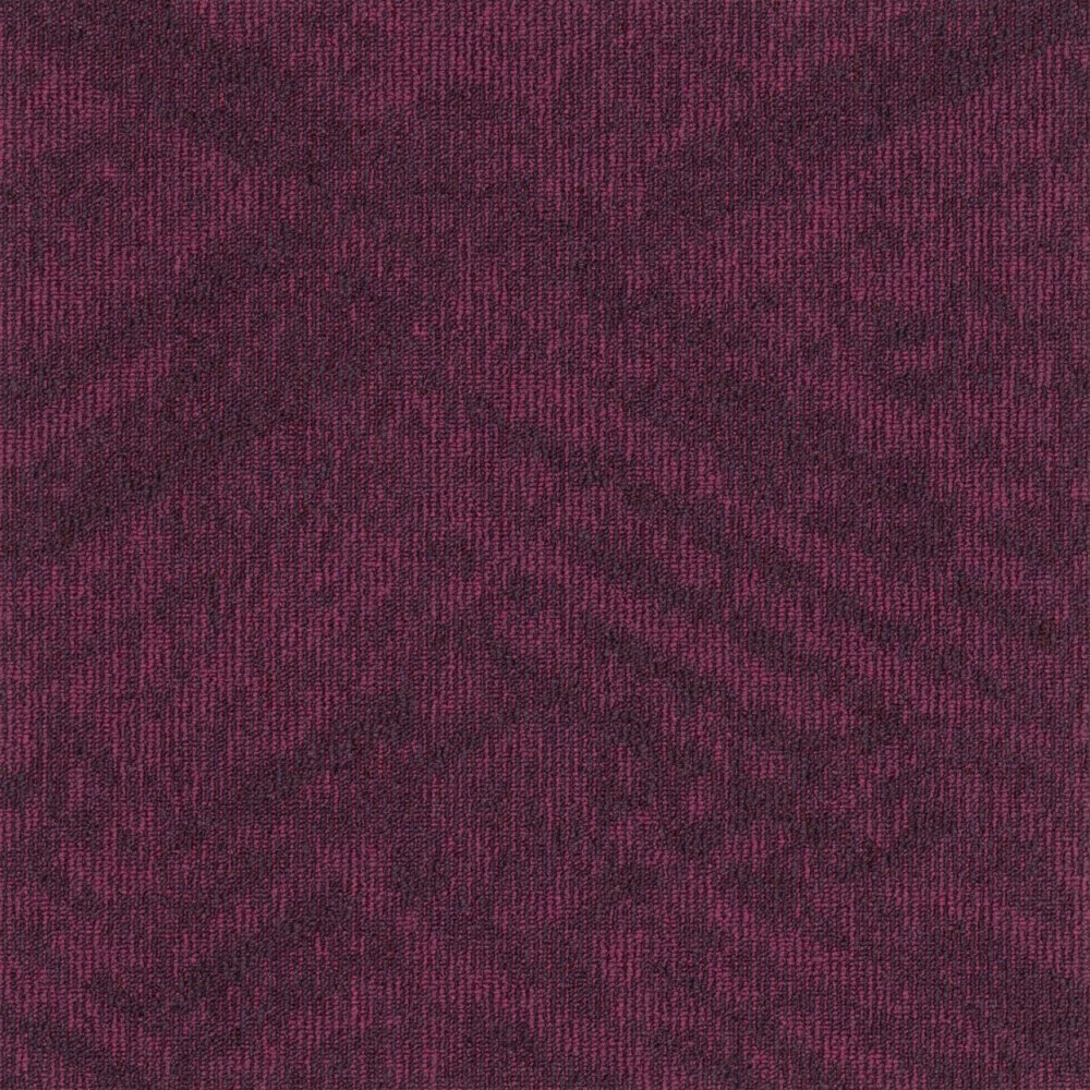 Contour View 478
