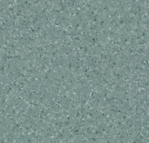 sphera orient 4123 pak choi