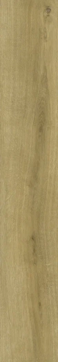 9207 HONEY OAK