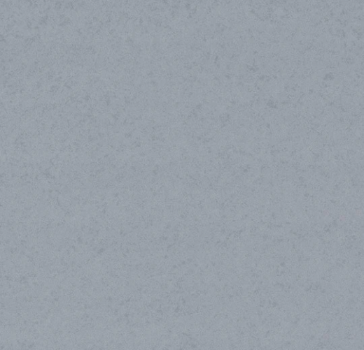 Sarlon 19 Дб graphic and colour 90247T4319 grey blue canyon