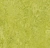 Real 3224 (2,50)