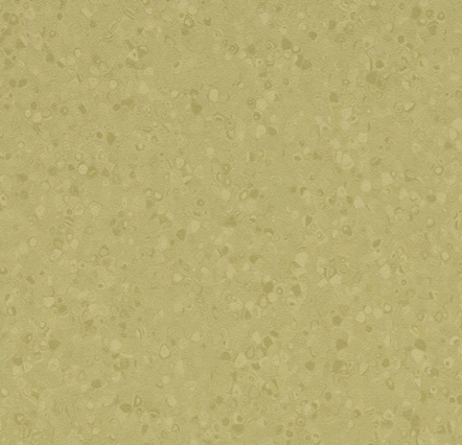 Sphera Element 50065 moss