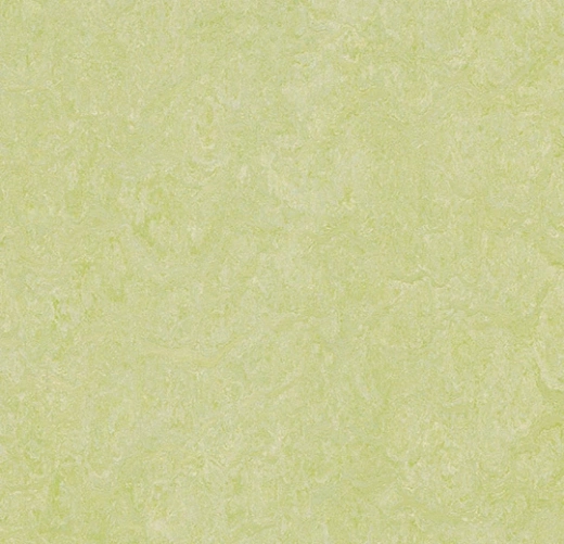 Real 3881 (2,50)