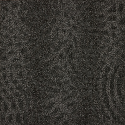 Immersion Animate 848