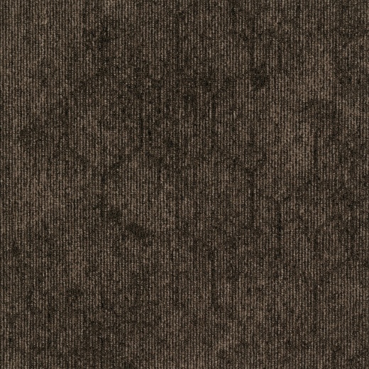 Contour Perspective 848