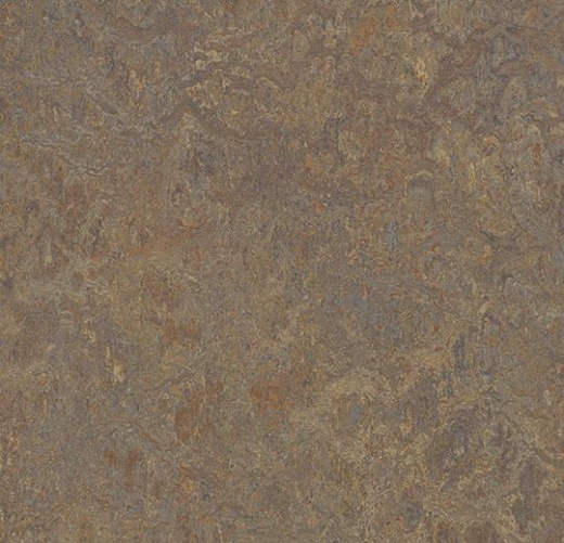 Vivace 3426