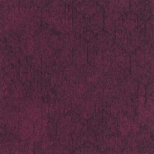 Contour Perspective 478