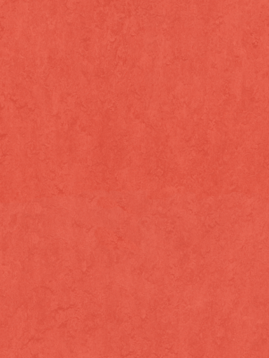 Sport 83287 (4.00)