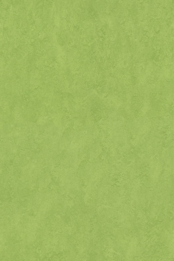 Sport 83285 (3,20)