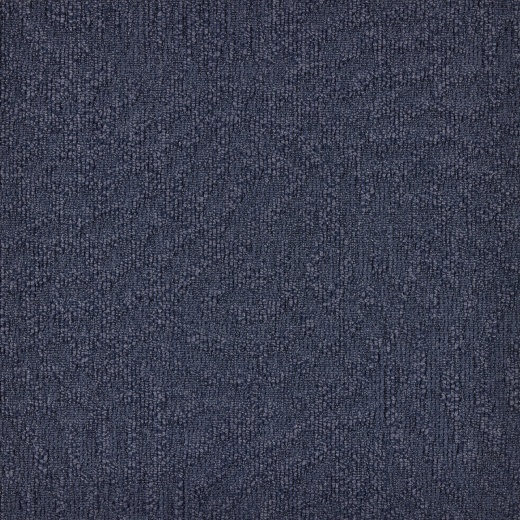 Immersion Animate 474