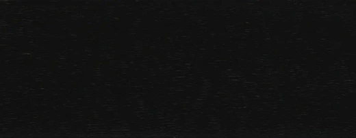 TS 100 LIFE TOP 1144