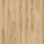 Blackjack Oak 22220