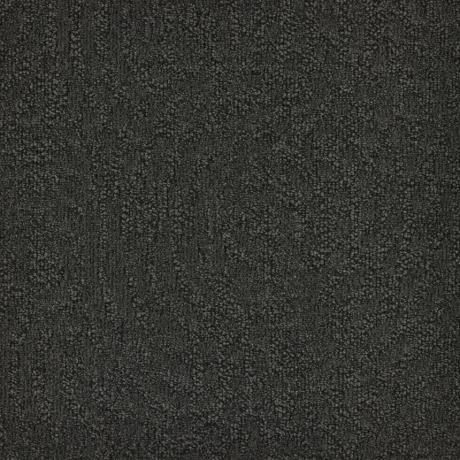 Immersion Animate 989