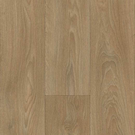 Mars Allure T36