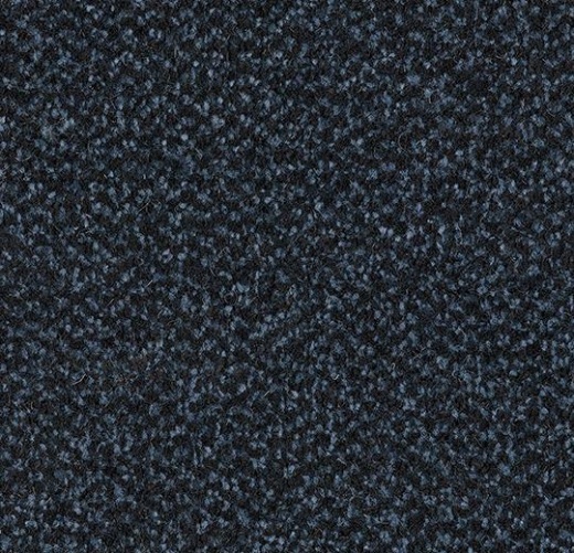 Coral Marine FR 4207FR