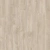 Silverleaf Oak 232