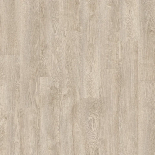 Silverleaf Oak 232