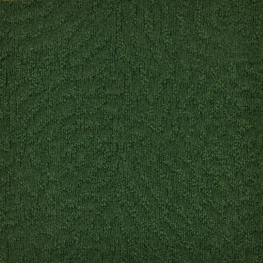 Immersion Animate 621