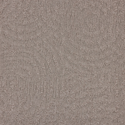 Immersion Animate 731