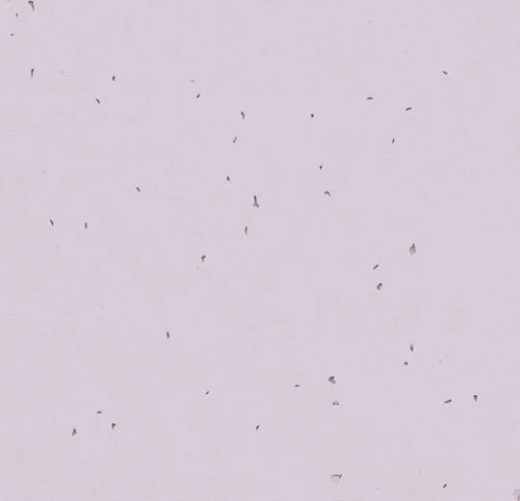 Sphera Energetic 50234 lilac
