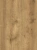 Baltimore Oak 863