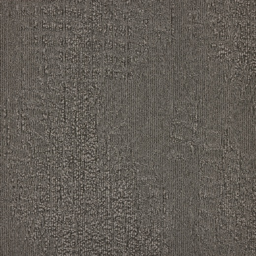 Immersion Alternate 904