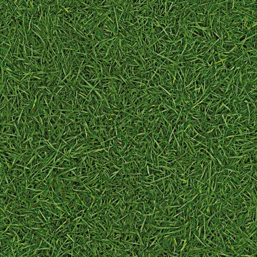 Vision Grass T25
