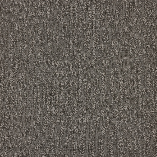 Immersion Animate 904