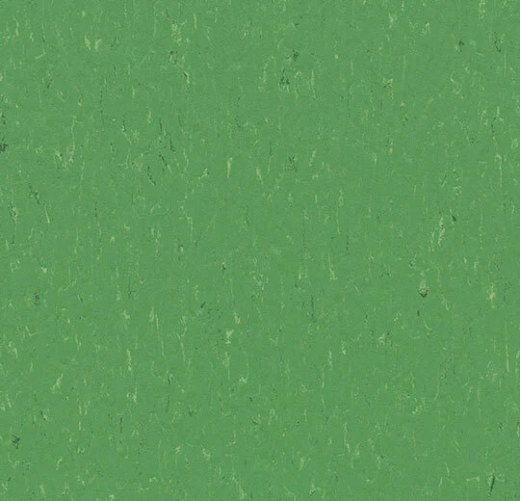 Piano 3647