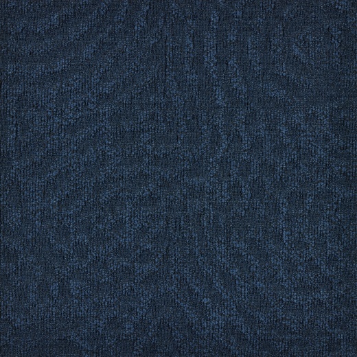 Immersion Animate 543