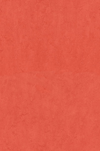 Sport 83287 (3,20)