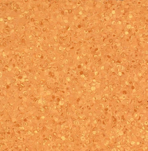 Fortis Orange