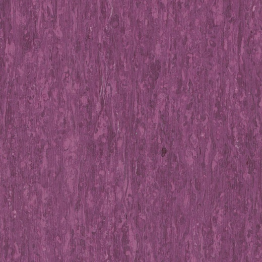 iQ Optima 0255