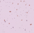 Sphera Energetic 51234 vivid lilac