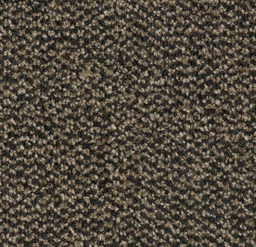 Coral Marine FR 4204FR