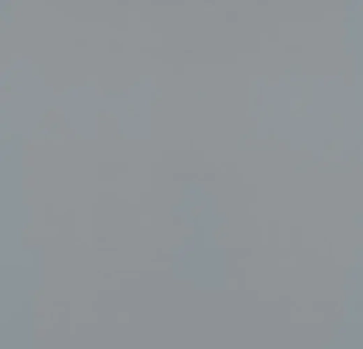 Sportline standart 4502