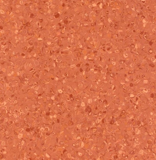 Fortis Coral
