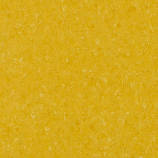 Polis Sun