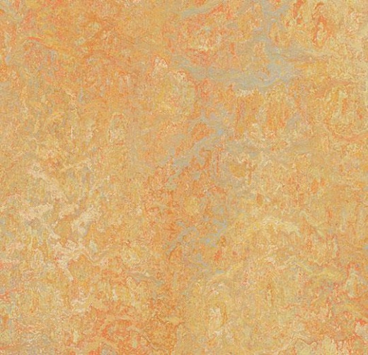 Vivace 3411