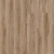 Blackjack Oak 22229