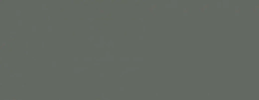 TS 100 LIFE TOP 1147