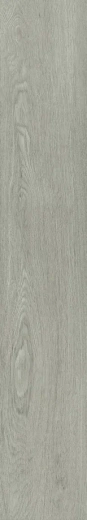 9205 SILVERED OAK