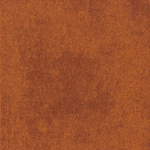 Rudiments Basalt 273