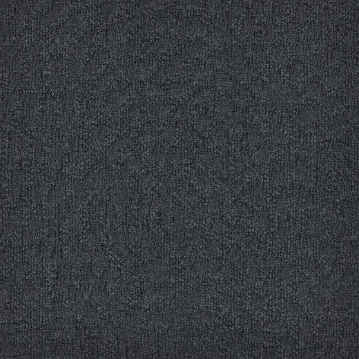 Immersion Animate 569