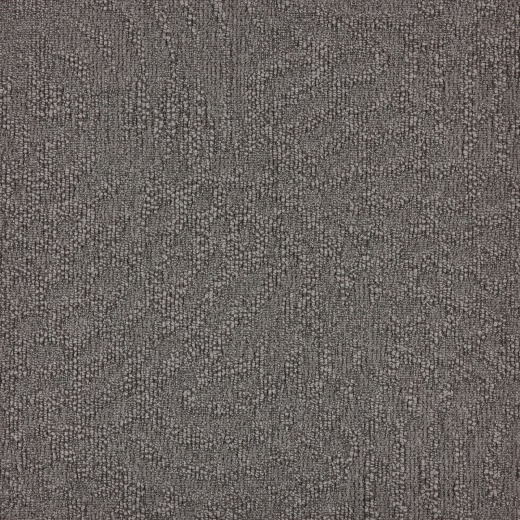 Immersion Animate 969