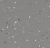 Sphera Energetic 52216 shimmer pigeon