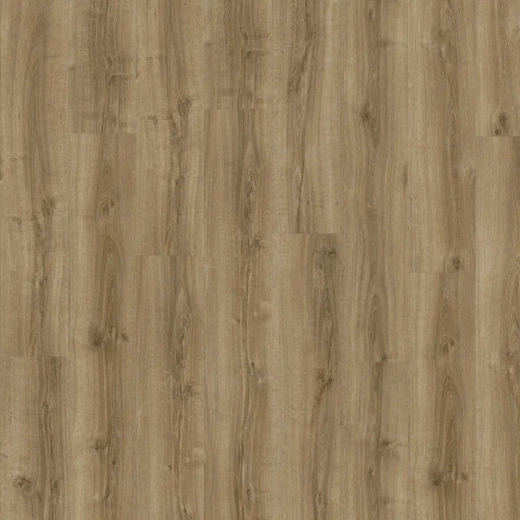 Silky Oak 235