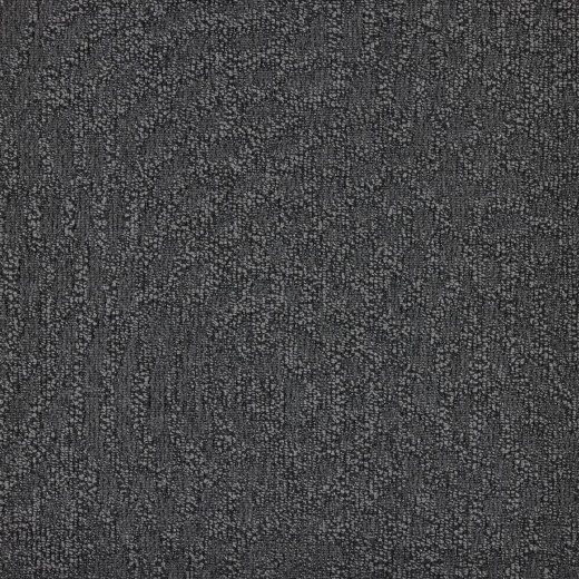 Immersion Animate 979