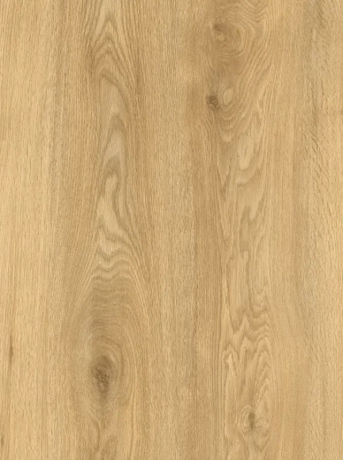 Winston Oak 862